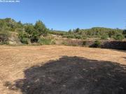 Finca rústica en La Pobla de Montornès