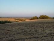 FINCA RÚSTICA EN LA ZONA DEL ABEJARUCO