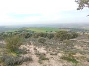 FINCA RÚSTICA EN LOMINCHAR