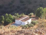 FINCA RUSTICA EN LOS MONTES DE MALAGA CON CASA PROPIA...
