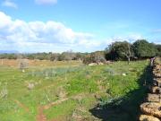 Finca rústica en Manacor