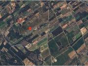 FINCA RÚSTICA EN MONT ROIG DEL CAMP