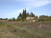 Finca rústica en Muro