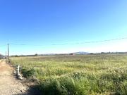 FINCA RUSTICA EN PARAJE LAS CULEBRAS