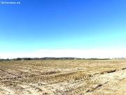 FINCA RUSTICA EN PARAJE LAS CULEBRAS