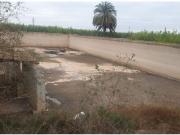 FINCA RUSTICA EN SAN MIGUEL DE SALINAS ZONA LA MARQUESA