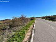 FINCA RUSTICA EN SANTO TOMAS DE LAS OLLAS