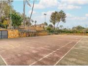 Finca Rustica en SAranjassa Finca Rustica en SAranjassa