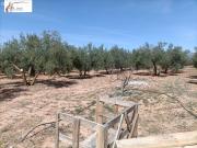 Finca rústica en venta