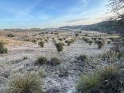 Finca rústica en venta. CARABAñA