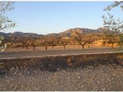 Finca rustica en Venta en Abanillas, Murcia