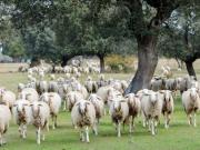 Finca rústica en Venta en Alanís