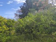 Finca rústica en Venta en Albatalia