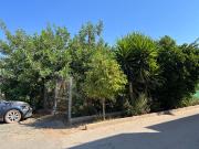 Finca rústica en Venta en Albujón