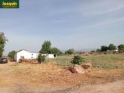 Finca rústica en Venta en Alcolea