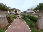 Finca rústica en Venta en Alcolea