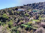 Finca rústica en Venta en Alcudia de Monteagud