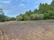 Finca rustica en Venta en Alfara del Patriarca, Valencia