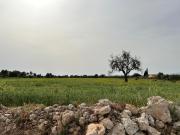 Finca rústica en Venta en Algaida
