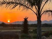 Finca rústica en Venta en Algaida