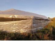 Finca rustica en Venta en Algarrobo, Málaga