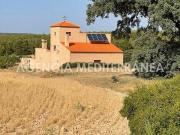 Finca rústica en Venta en Almansa
