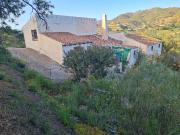 Finca rústica en Venta en Almogía