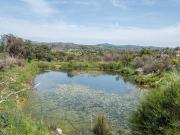 Finca rústica en Venta en Almorox