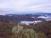 Finca rústica en Venta en Álora