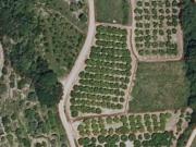 Finca Rústica en Venta en Anna, Valencia