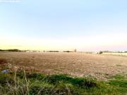 Finca rustica en Venta en Aranjuez, Madrid