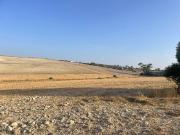 Finca rústica en Venta en Arcos de la Frontera