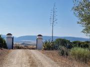 Finca rústica en Venta en Arcos de la Frontera