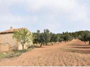 Finca rustica en Venta en Arenys de Lledó Arens de...