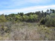 Finca rustica en Venta en Arenys de Lledó Arens de...