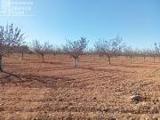 ¡FINCA RÚSTICA EN VENTA EN ARGAMASILLA DE ALBA – PARAGE...