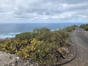 Finca rústica en Venta en Arucas Casco