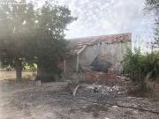 Finca rustica en Venta en Barrio Viejo de Callosa de...