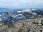 Finca rústica en Venta en Bañaderos El Puertillo San Andrés