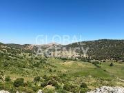 Finca rústica en Venta en Belén San Roque