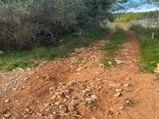 Finca rustica en Venta en Benicarló, Castellón