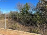 Finca rustica en Venta en Benicarló, Castellón