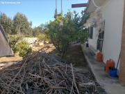 Finca rustica en Venta en Benidorm, Alicante