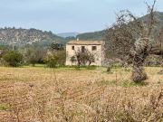 Finca rústica en Venta en Binissalem