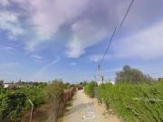 Finca rústica en Venta en Bollullos de la Mitación
