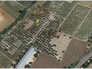 Finca rustica en Venta en Bollullos par del Condado, Huelva