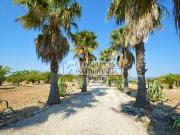 Finca rústica en Venta en Boverals Saldonar