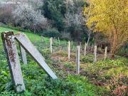 Finca rustica en Venta en Bueu, Pontevedra
