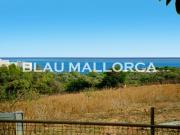 Finca rústica en Venta en Cales de Mallorca