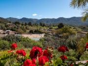 Finca rústica en Venta en Calvià pueblo